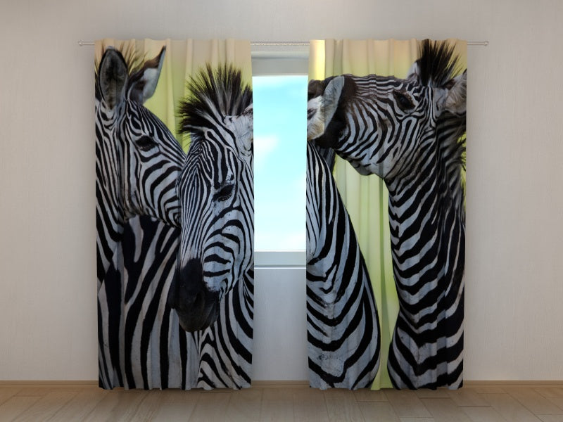 Tende Zebre