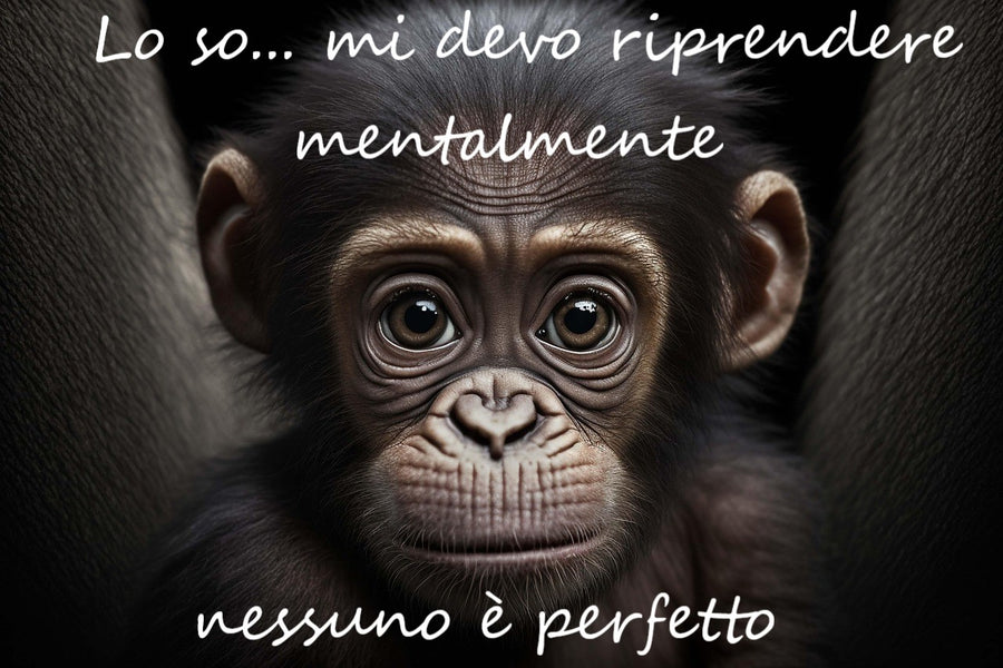 Tovagliette americane in tessuto cm.45x30 per chi ha problemi mentali