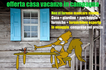 Tovagliette americane in tessuto cm.45x30. Casa vacanze con formiche e formichiere compreso nel prezzo