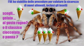 Tovagliette americane in tessuto cm.45x30. con i gelati del futuro