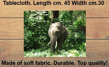 Tovagliette americane in tessuto cm.45x30. Con un elefante