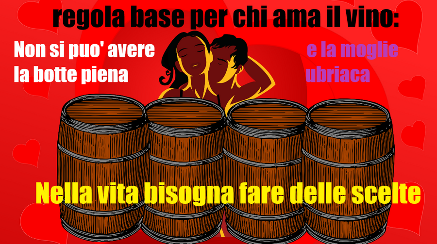 Tovagliette americane in tessuto cm.45x30. Non si puo' avere la botte piena e la moglie ubriaca