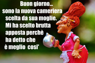 Tovagliette americane in tessuto cm.45x30 con la nuova cameriera brutta