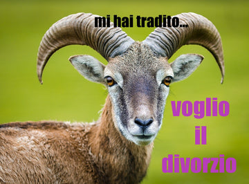Tovagliette americane in tessuto cm.45x30. con una dichiarazione di divorzio