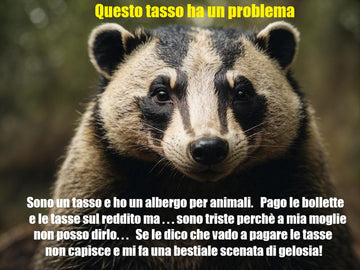 Tovagliette americane in tessuto cm.45x30 con un tasso molto triste